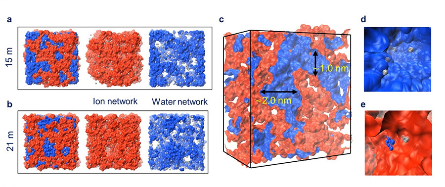 물 기반 전해질의 내부 구조 시뮬레이션 결과. 물 분자(파란색)와 염(붉은색)이 서로 섞이지 않는 ‘이온 네트워크 구조’를 형성하고 있음을 확인할 수 있다.