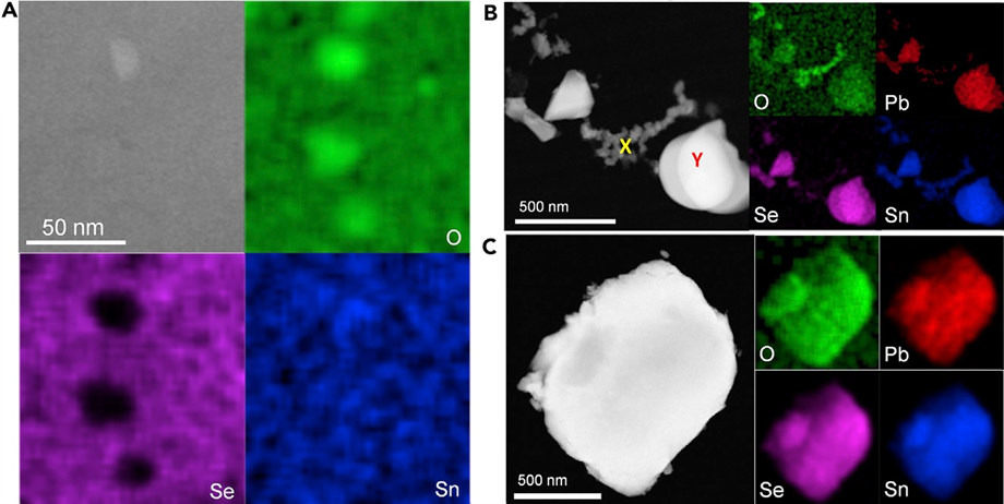 다결정 셀레늄화주석의 구면수차보정 주사 투과전자현미경 이미지