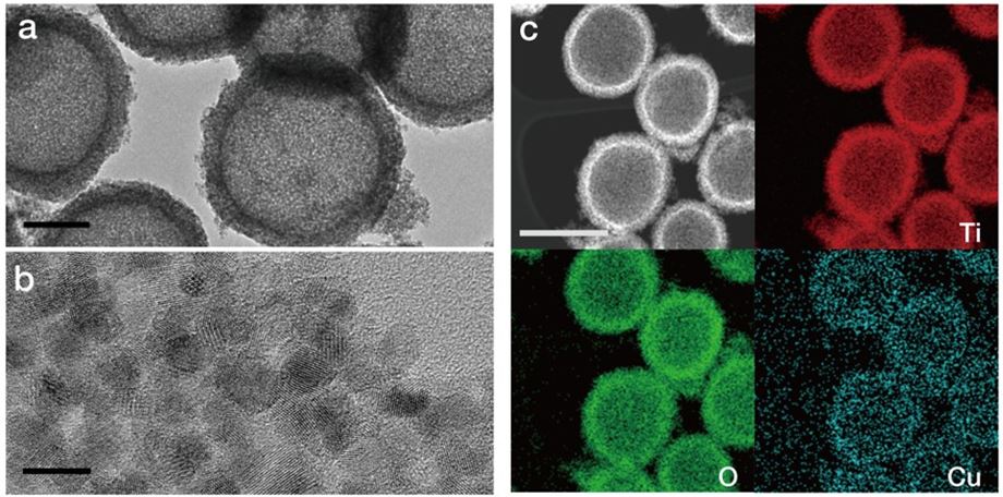 연구진이 개발한 단원자 구리/이산화티타늄 촉매의 현미경 이미지.