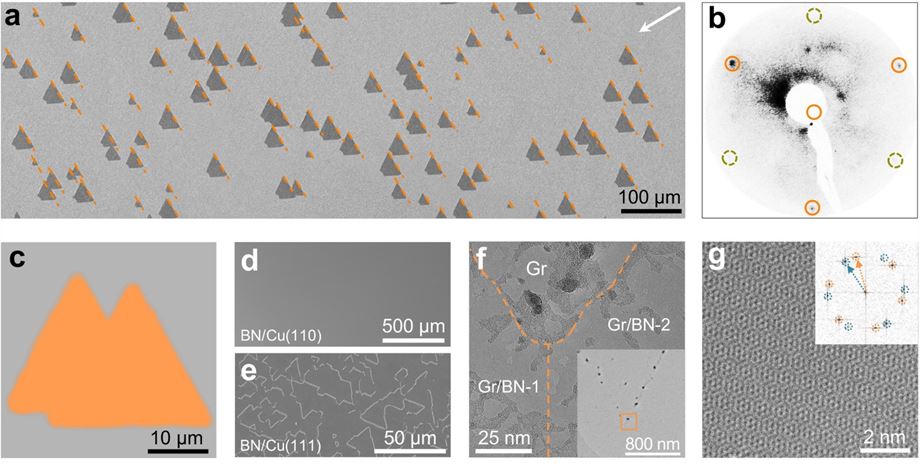 [그림 2] 2차원 단결정 육방정계 질화붕소(h-BN)의 성장과정 
