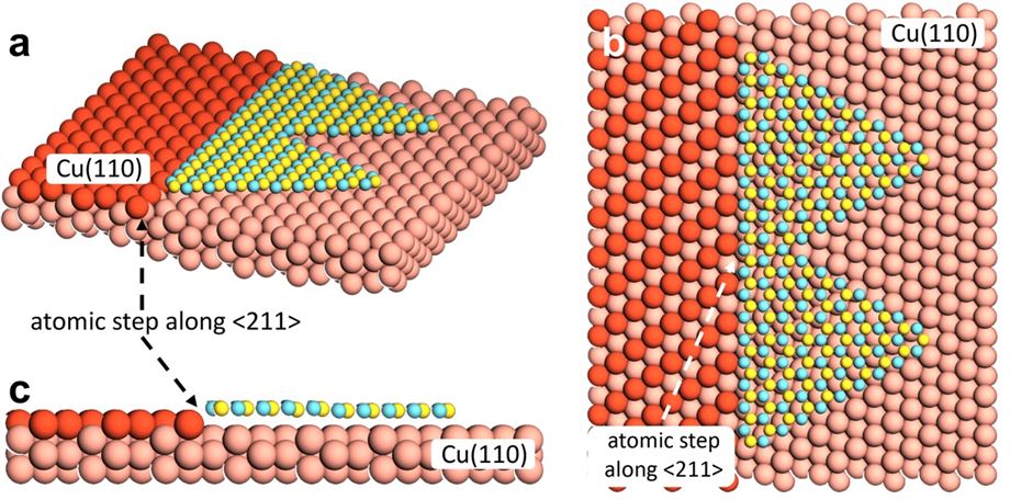 [그림 3] 단결정 구리(Cu) 포일 위 2차원 h-BN 성장 메커니즘