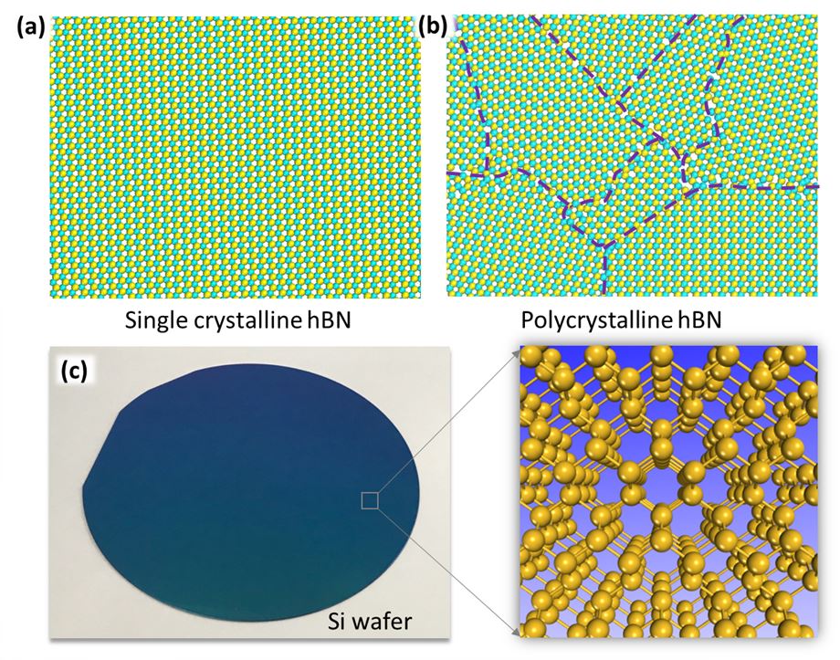 기초과학연구원