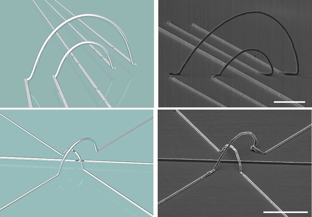 Figure 3-2 Schematic illustrations (left) and scanning-electron microscopic images (right) of various 3D structures of printed stretchable metal composites. 3D interconnection can overlap Scale bars are 100 µm.