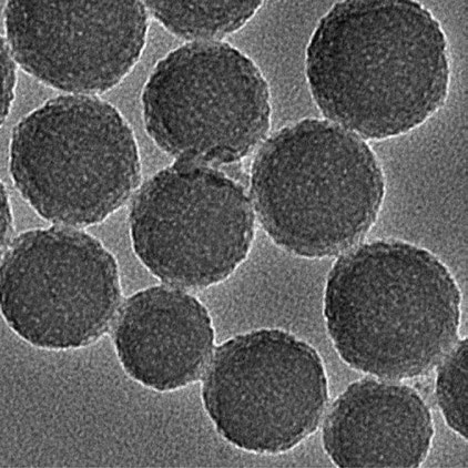 IBS 나노입자 연구단이 개발한 뇌전증 나노센서의 투과전자현미경(TEM) 이미지