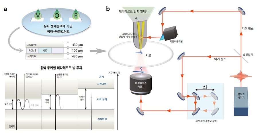 그림 2. 연구에 사용된 근접장 테라헤르츠 분광학 시스템 모식도