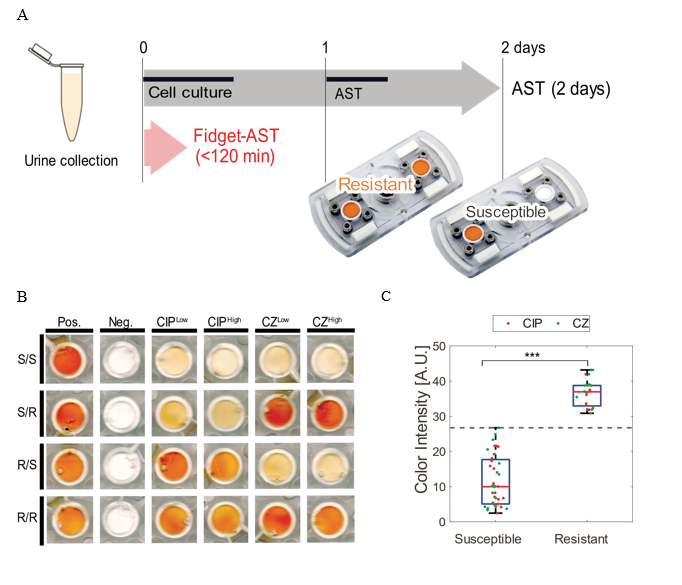 Figure 3. Antimicrobial susceptibility test using Dx-FS.