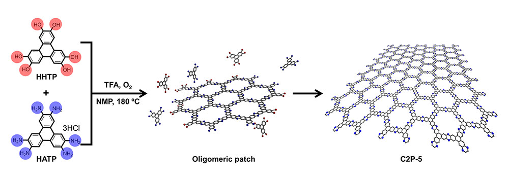 [그림 1] 이차원 전도성 고분자 합성 과정