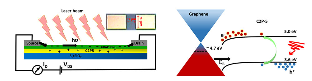 [그림 4] 유사 그래핀-그래핀 광검출 소자