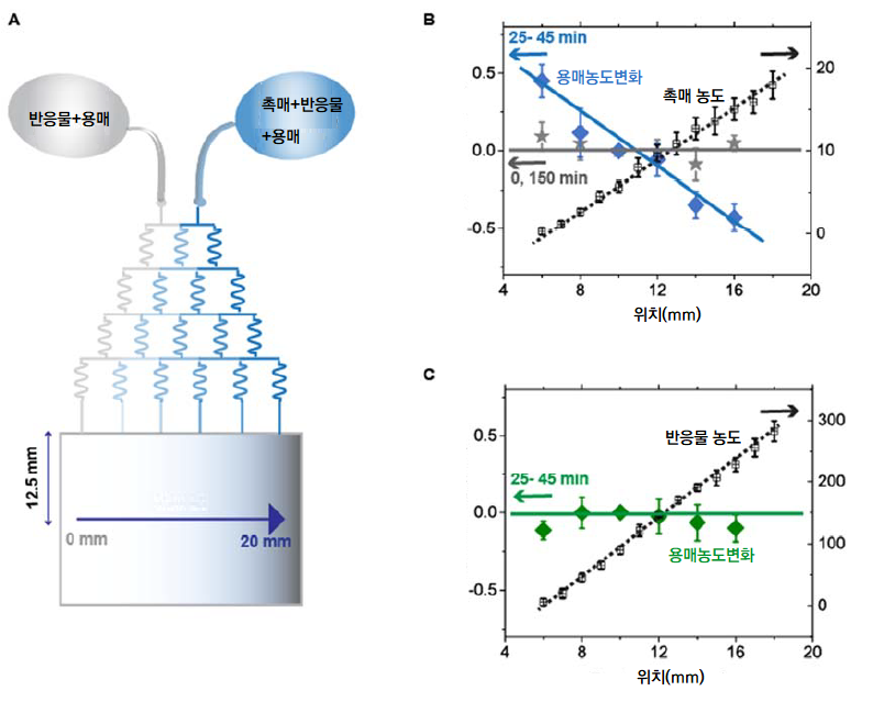 [그림 2] 촉매 농도 기울기를 가진 미세유체칩과 용매 이동