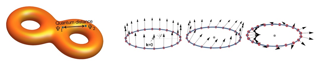 Figure 2 (Left) A cartoon representing the geometric structure of the Bloch states. The quantum distance measures the quantum mechanical distance between two Bloch wave functions. (Right) Bloch wave functions of the flat band can be represented by the pseudo-spin (arrows). The relative angle between two pseudo-spins corresponds to the quantum distance between the relevant Bloch states.