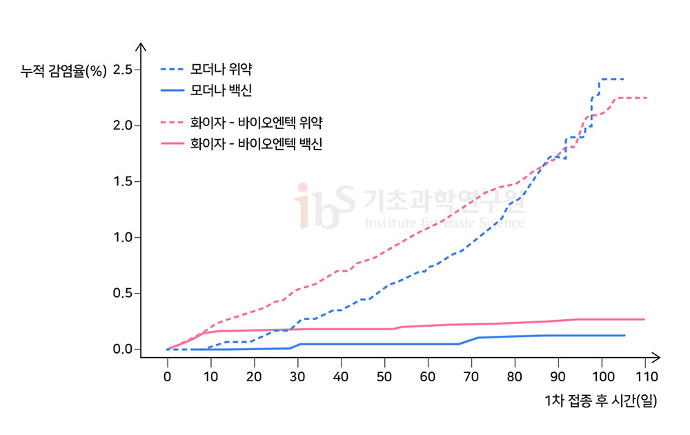 바이오엔텍과 모더나가 개발한 mRNA 기반 코로나19 백신의 유효율 그래프이다. 1차 접종 후 시간이 지날수록 누적 감염율이 높아지고 있다. 누적 감염률(%) 1차 접종 후 시간(일) 모더나 위약 모더나 백신 화이자 - 바이오엔텍 위약 화이자 - 바이오엔텍 백신