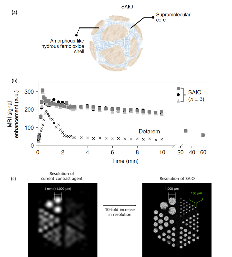 Figure 2. SAIO contrast agent