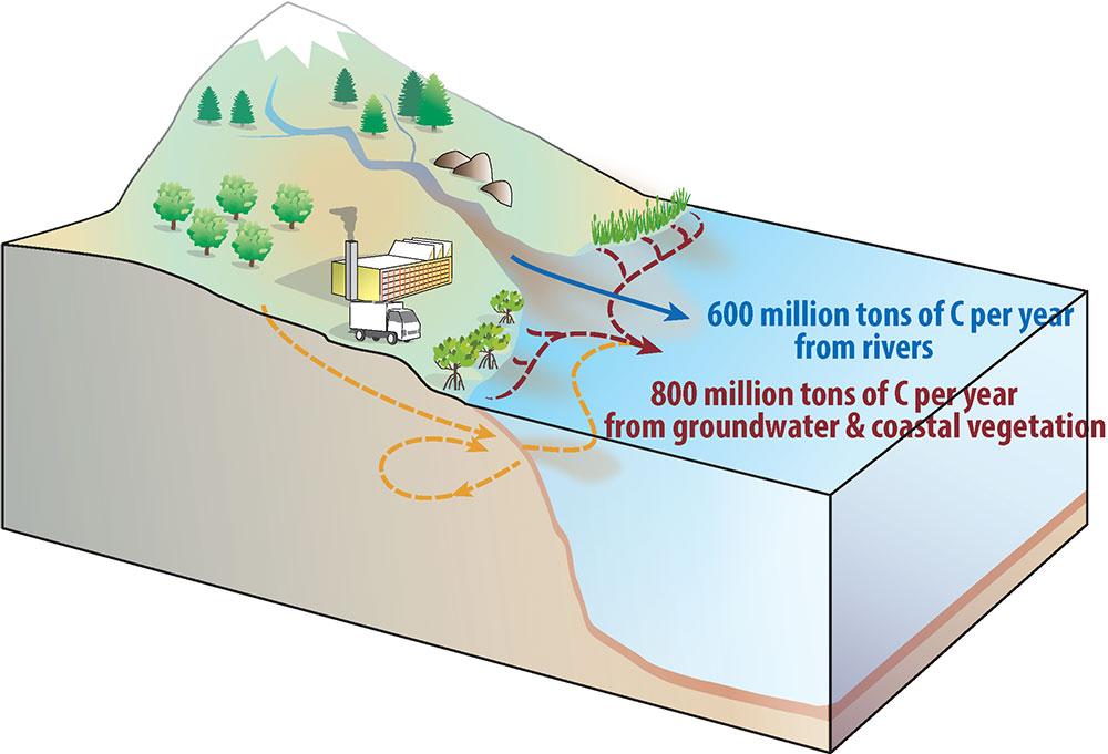 Figura esquemática que mostra as novas estimativas de transporte de carbono em rios, águas subterrâneas e ecossistemas costeiros da terra para o oceano