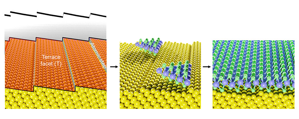 단결정 2차원 반도체 합성 모식도