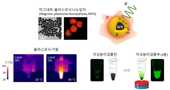 BS 나노의학 연구단이 개발한 나노PCR 기술을 나타내는 이미지.

                마그네토-플라스코닉 나노입자
                플라스모닉가열
                자성분리검출전
                자성분리검출후(3분)