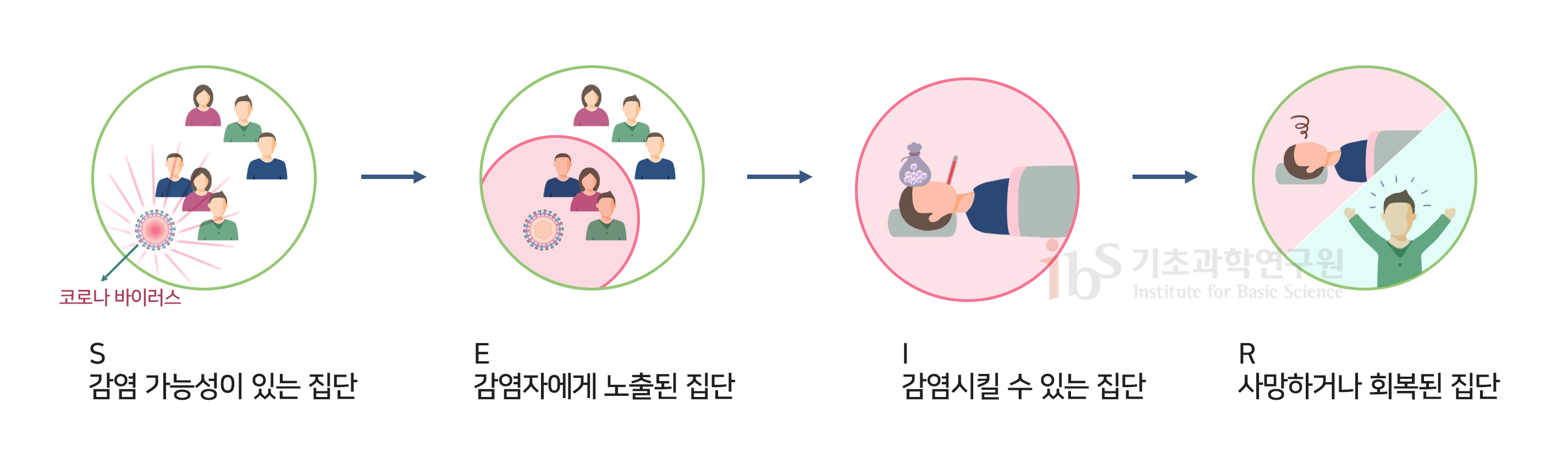전통적인 감염병 예측 수리모델의 구조를 나타내는 이미지.

                코로나바이러스
                S 감염 가능성이 있는 집단
                E 감염자에게 노출된 집단
                I 감염시킬 수 있는 집단
                R 사망하거나 회복된 집단