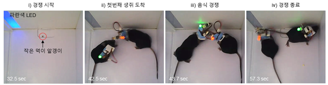 개발한 시스템을 이용한 음식 경쟁 테스트 이미지로서 자세한 내용은 하단에 위치해 있습니다.