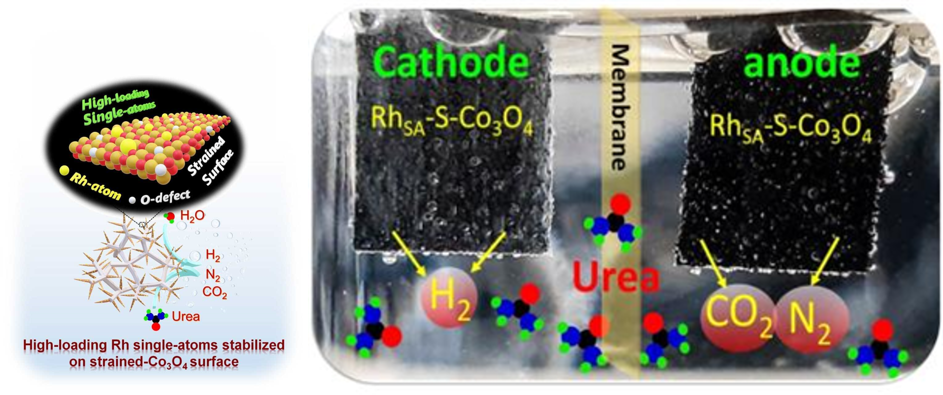 변형된 금속산화물 표면에 안정하게 고중량 단일 원자 로듐 촉매가 올려진 모식도(왼쪽), 요소 전기 분해를 통해 수소 생산 전기셀(오른쪽)