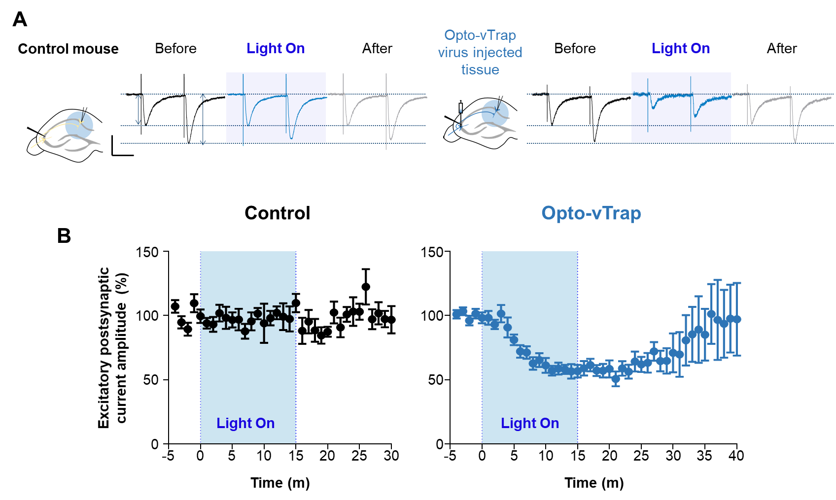 Activation of Opto-vTrap inhibits evoked EPSC in Schaffer-collateral synapses