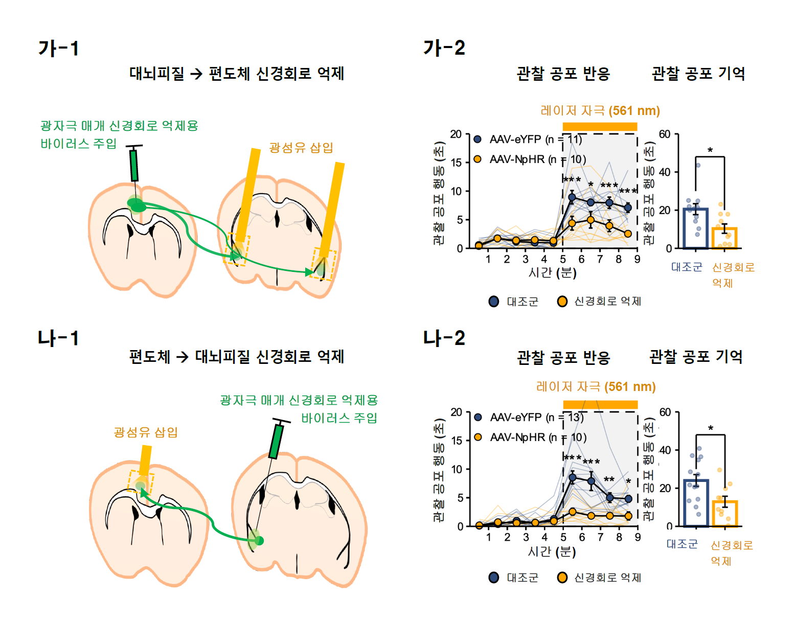 연구진은 광유전학 기법을 이용해 공감 기능에 관여하는 뇌신경회로를 확인했다. 생쥐의 관찰 공포 행동 중에 우측 대뇌피질에서 편도체로 연결된 신경회로 및 우측 편도체에서 대뇌피질로 연결된 신경회로를 억제하자 관찰 공포 행동이 모두 감소되었다. 하지만, 이러한 뇌신경회로 억제가 공포 반응엔 영향을 주지 않았다. 이러한 결과를 통해 우뇌의 대뇌피질-편도체 상호간에 연결된 뇌신경회로가 공감 기능에 특이적으로 관여됨이 확인되었다.