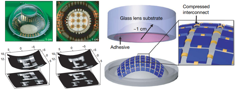 Tetraneutron. Credit: Andrey Shirokov