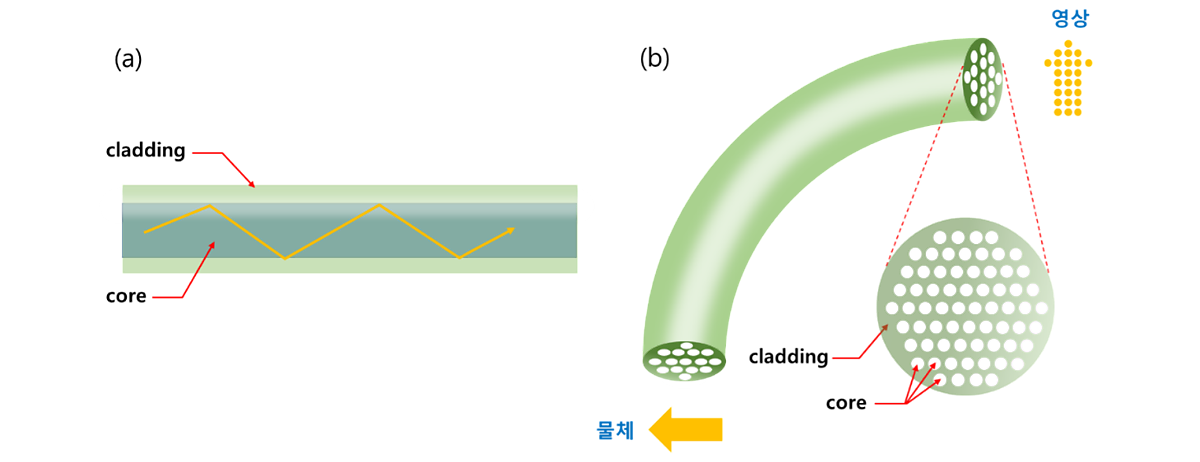 그림2. (a) 광섬유 안에서 빛은 전반사를 일으키며 진행한다. (b) 광섬유 다발은 많은 수의 광섬유를 순서대로 모아 놓은 것으로 영상 전송이 가능하다. 이 과정에서 한 개의 코어가 하나의 화소를 전달하므로 전송된 영상에는 끊김 현상이 나타난다.