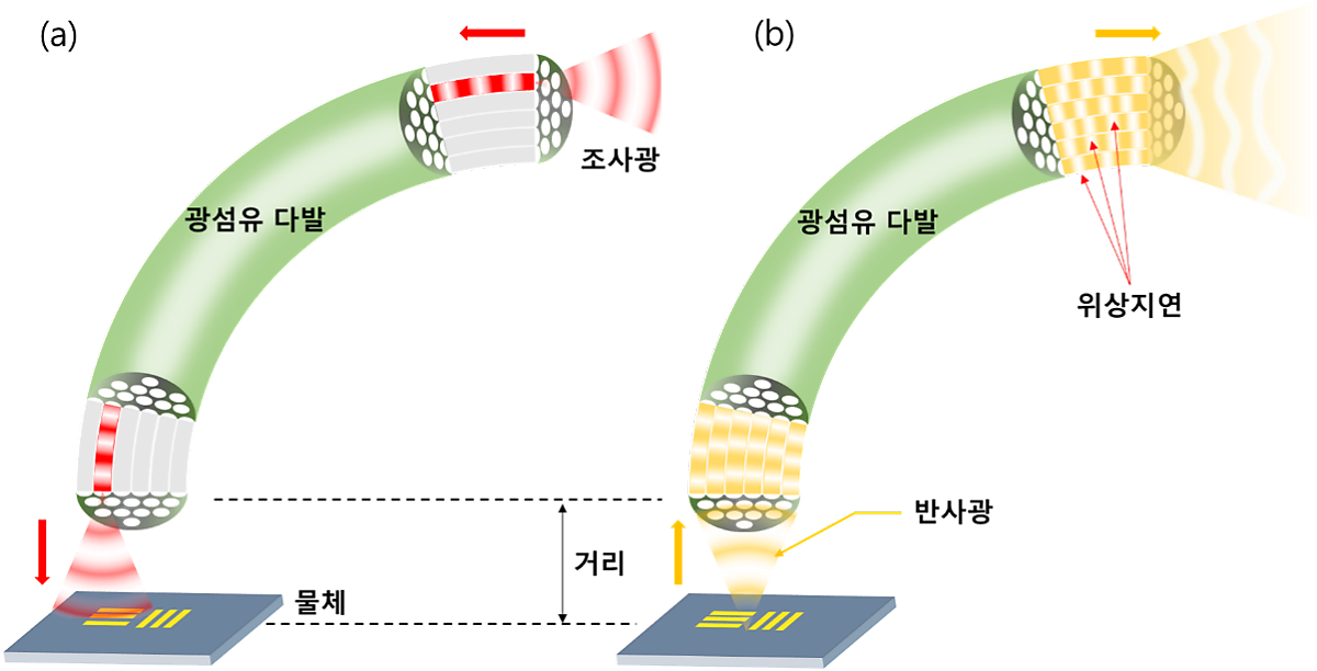 그림 3. 연구팀이 사용한 내시경 영상 방법. 물체와 광섬유 사이에 일정 거리를 둔 점이 특이하다. (a) 하나의 코어를 통해 전달된 조사광은 코어를 빠져나와 구면파 형태로 물체에 도달한다. (b) 물체의 한 점에서 발생한 구면파는 광섬유 다발의 여러 코어를 통해 반대편으로 전달된다. 이 과정에서 각 코어마다 서로 다른 위상 지연이 발생해 파면의 심한 왜곡이 발생한다.