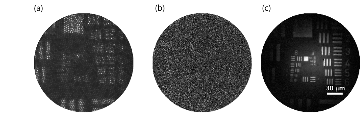 그림 4. (a) 기존의 광섬유 내시경 영상으로 촬영상 영상. (b) 연구팀이 사용한 방법 (그림 2)으로 영상을 촬영한 결과. (c) 연구팀이 개발한 CLASS 알고리즘을 적용하여 재구성한 물체 영상. 그림 출처: Nat. Commun. 13, 4469 (2022).