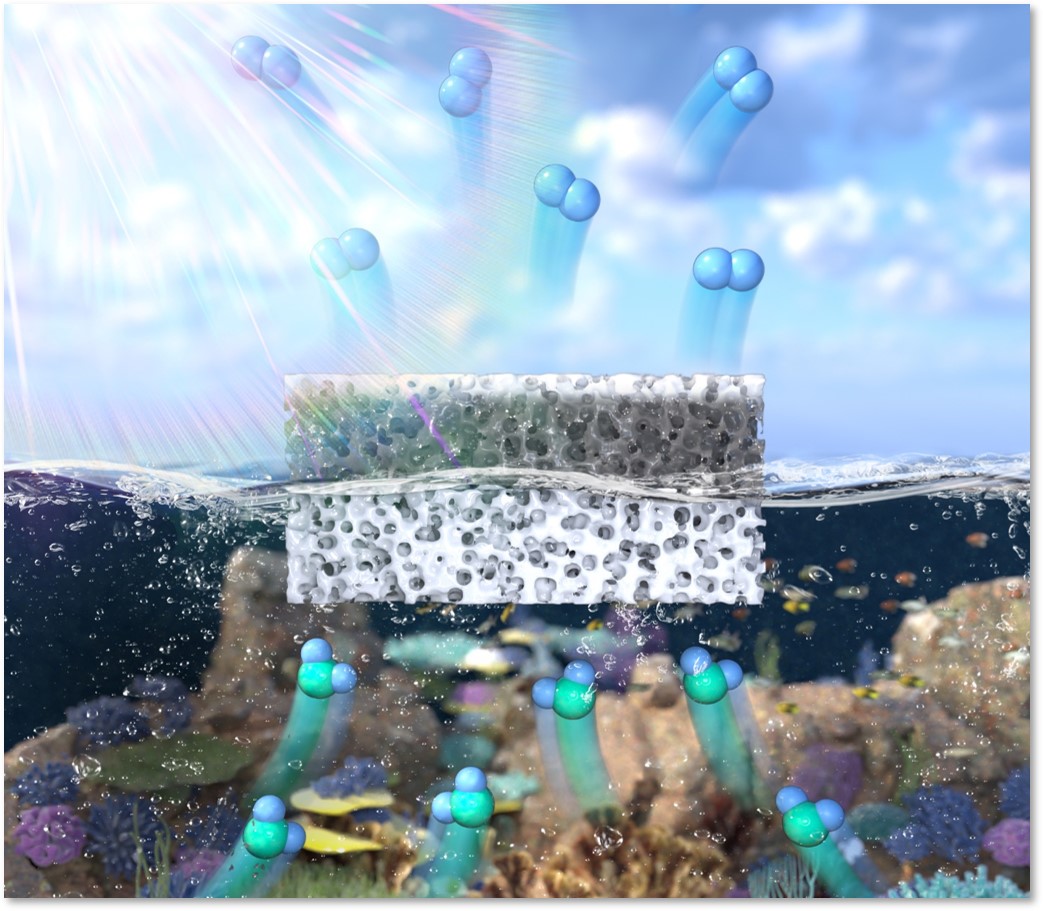 <그림1> 연구진이 개발한 부유식 광촉매 플랫폼의 구조
            개발된 나노복합체는 광촉매층과 지지층으로 구성된다. 광촉매층은 공기 중에 노출되어 있어 효과적으로 빛을 전달받을 수 있다. 구멍이 숭숭 뚫려 있는 다공성의 고무-하이드로젤 복합체를 사용해 높은 표면장력을 달성하여 물에 떠 있을 수 있고, 촉매를 복합체 내에 안정적으로 고정할 수 있으며, 하이드로젤의 물질 전달 특성 덕분에 지속적으로 물을 광촉매로 전달할 수 있다.