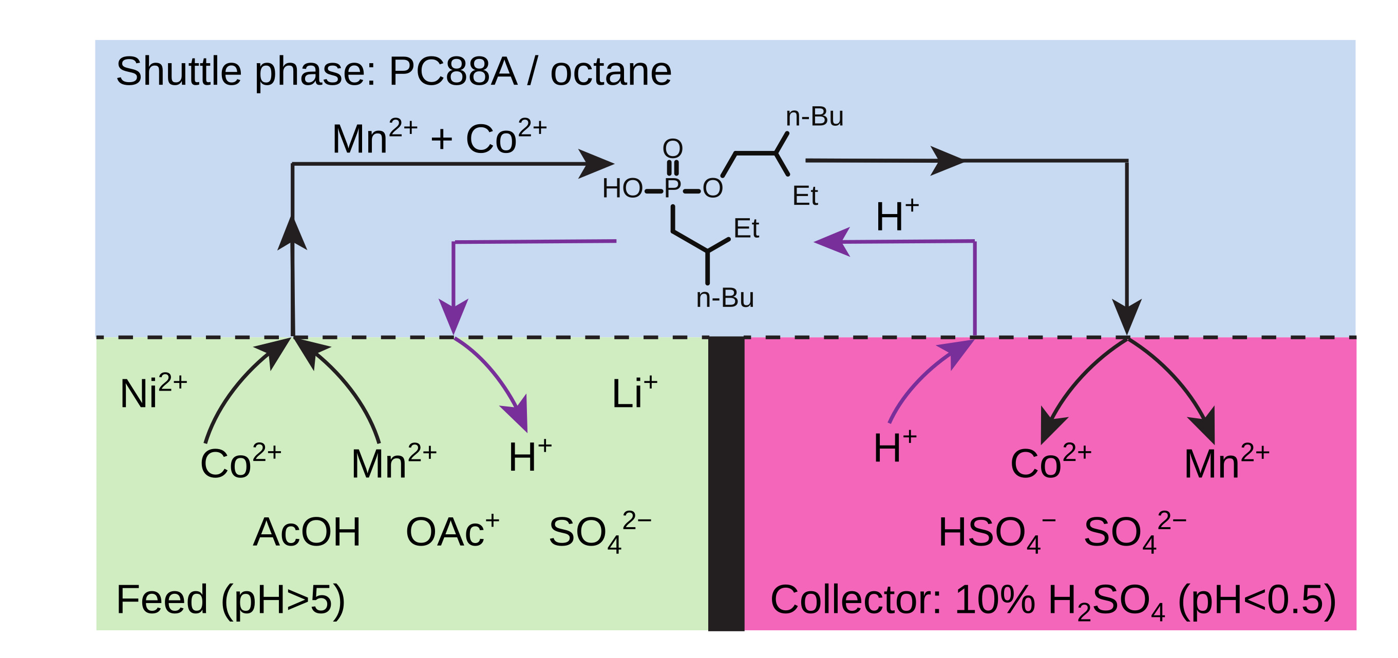 Figure 2. Scheme of the separation of Mn(II) and Co(II) from Li(I) and Ni(II).
        
