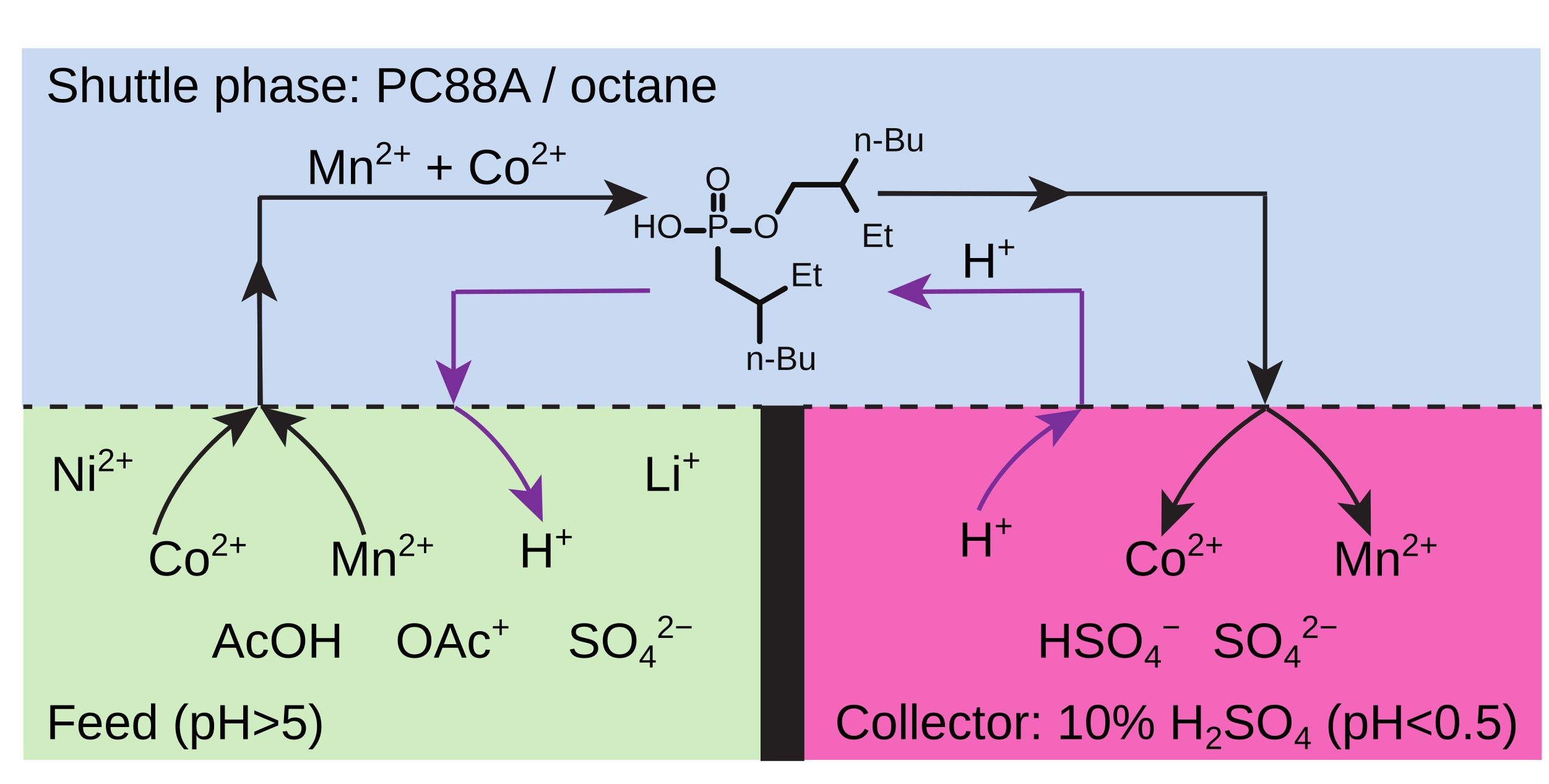 리튬, 니켈, 망간, 코발트가 섞인 금속 혼합물에서 리튬, 니켈과 망간, 코발트를 분리하는 방법을 나타내는 모식도.