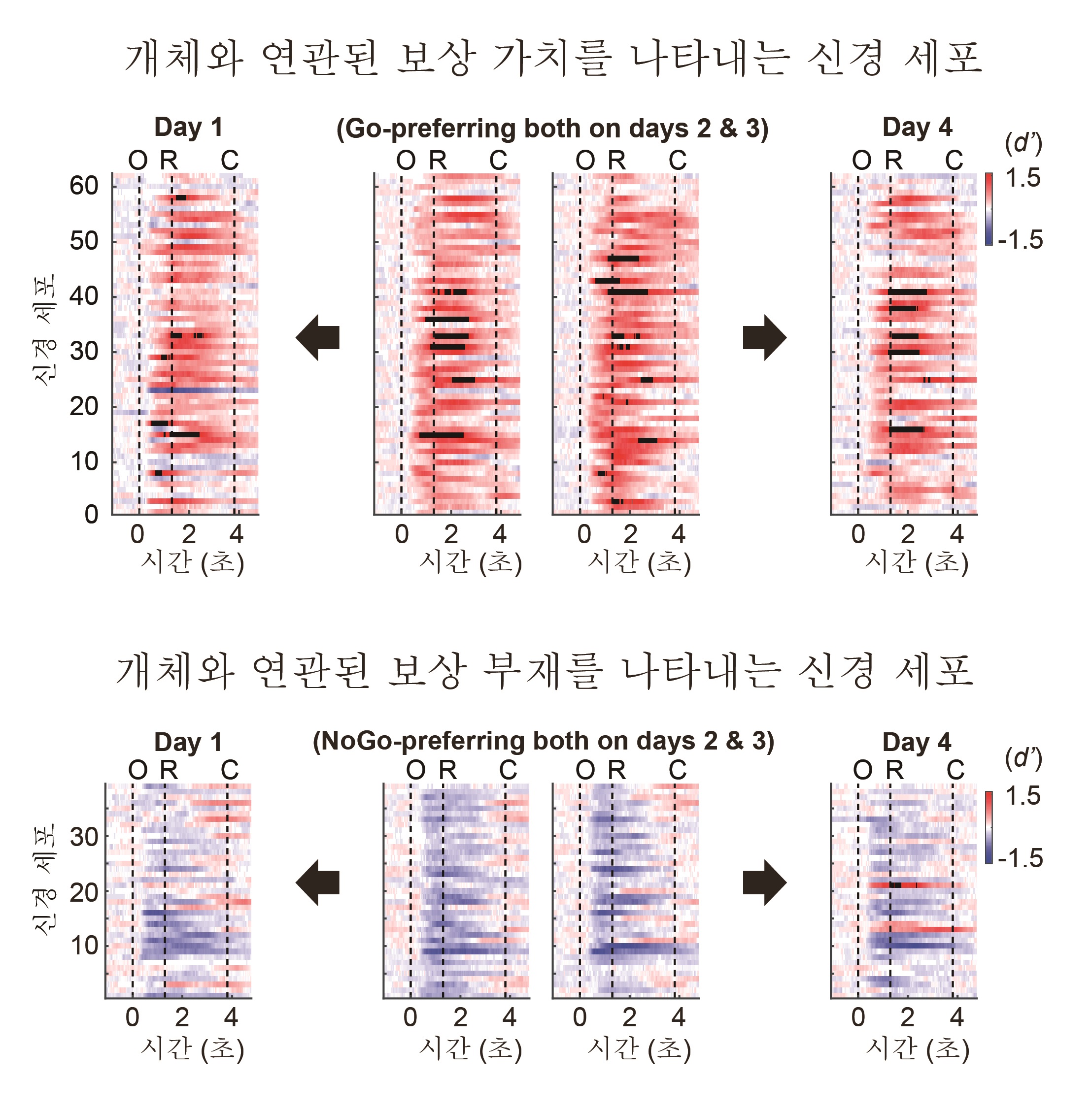 [그림 4] 해마 CA1 영역에 존재하는 개체와 연관된 보상 가치 정보를 나타내는 신경 세포의 활성
            해마의 상단부(등쪽) CA1 영역에서 물 보상의 존재나 부재를 표상하는 신경 세포가 관찰되었다. 이러한 신경 세포의 활성은 개체와 연관된 가치 정보를 나타내며 자극-보상 반전 학습을 여러 날에 걸쳐 연속적으로 수행하는 동안 안정적으로 유지되었다.
