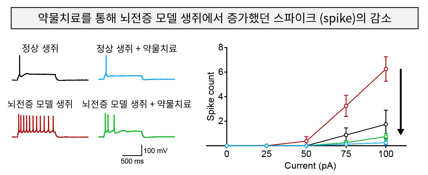 [그림 2] 약물치료를 통한 신경세포 흥분도의 정상화