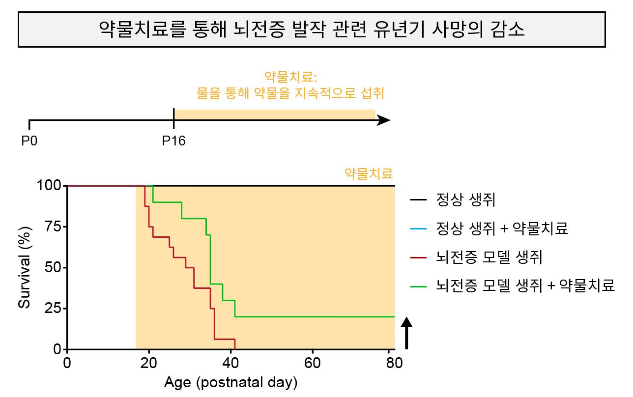 [그림 3] 약물치료를 통한 뇌전증 모델 생쥐의 뇌전증 발작 관련 유년기 사망 감소