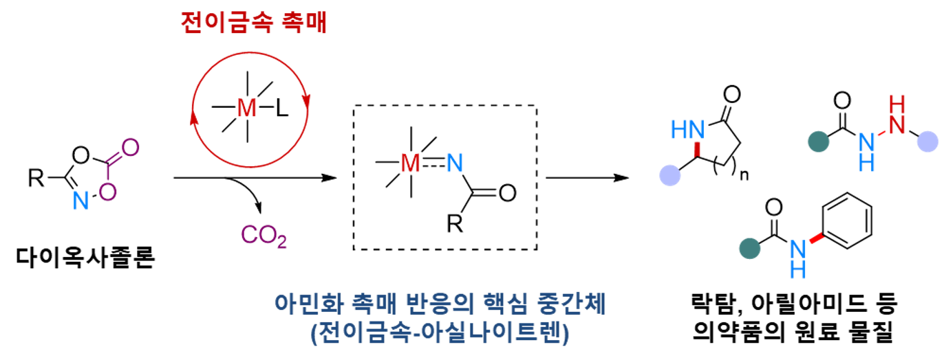 [그림 3] 금속-나이트렌 중간체를 통해 이루어지는 아민화 반응