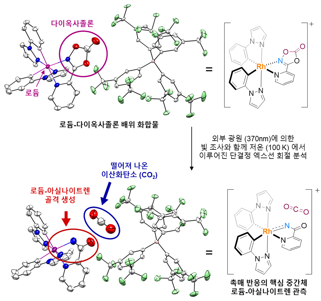 [그림 4] 광결정학 실험을 통해 얻은 로듐-아실나이트렌 중간체