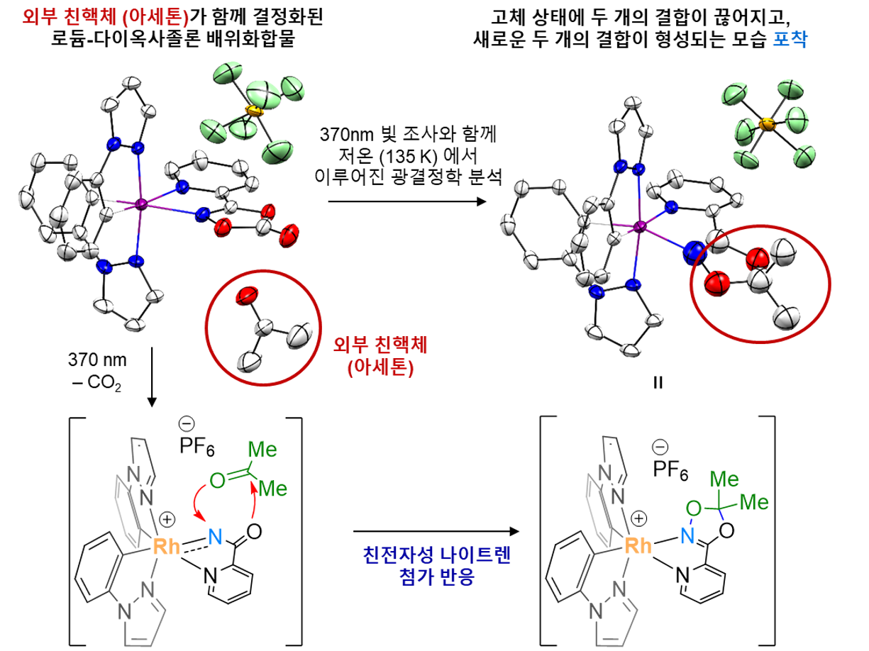[그림 5] 광결정학 실험 통한 로듐-아실나이트렌 이동 반응의 모니터링