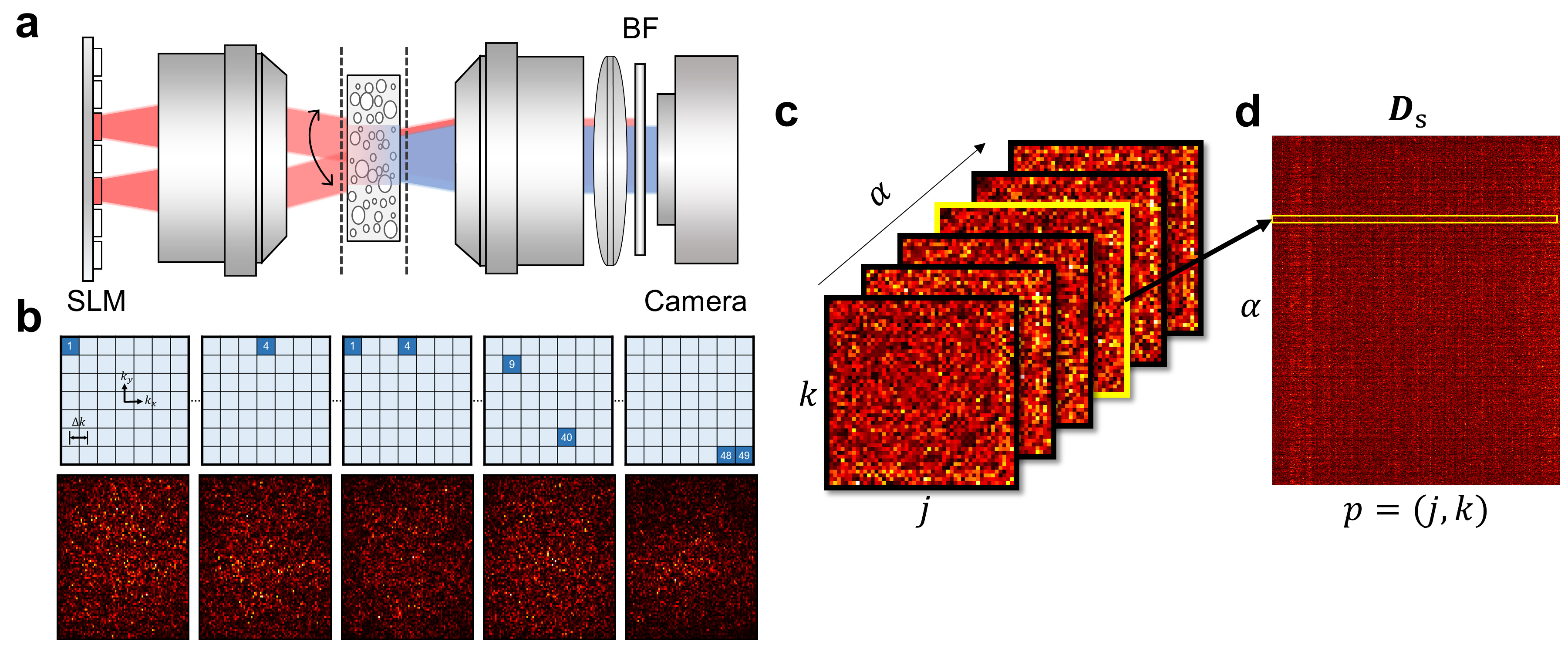 [그림 2] 비선형 산란 텐서 측정