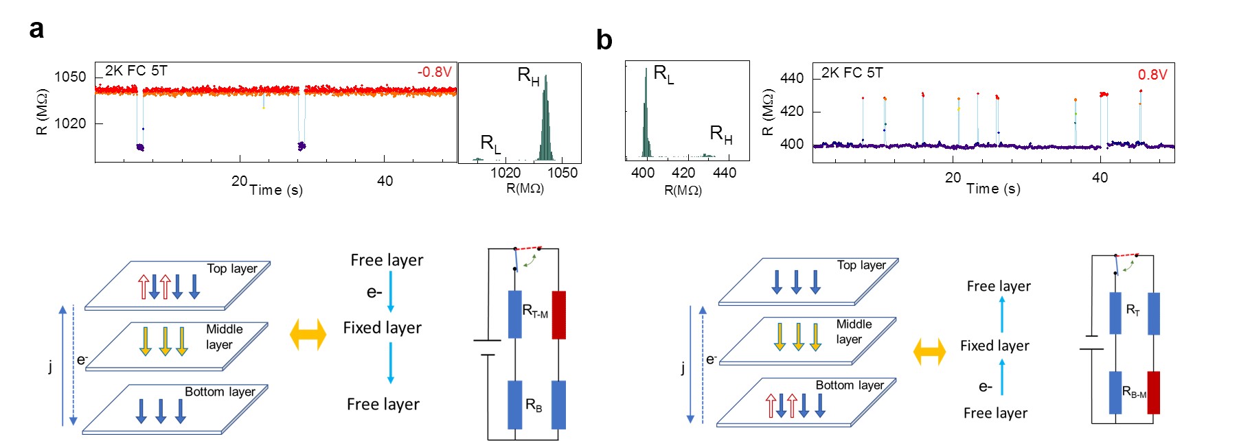 [그림 1] 전압에 따라 달라지는 임의전신잡음(RTN) 신호와 스핀 정렬
            연구진이 개발한 2차원 자성 반도체 소재에 음의 전압(-0.8V)을 가하면 큰 자기저항을 보여주고, 각층의 스핀이 같은 방향으로 정렬된다(a), 반면, 양의 전압(0.8V)을 가하면 작은 자기저항을 나타내며, 각층의 스핀이 반대로 정렬된다(b).