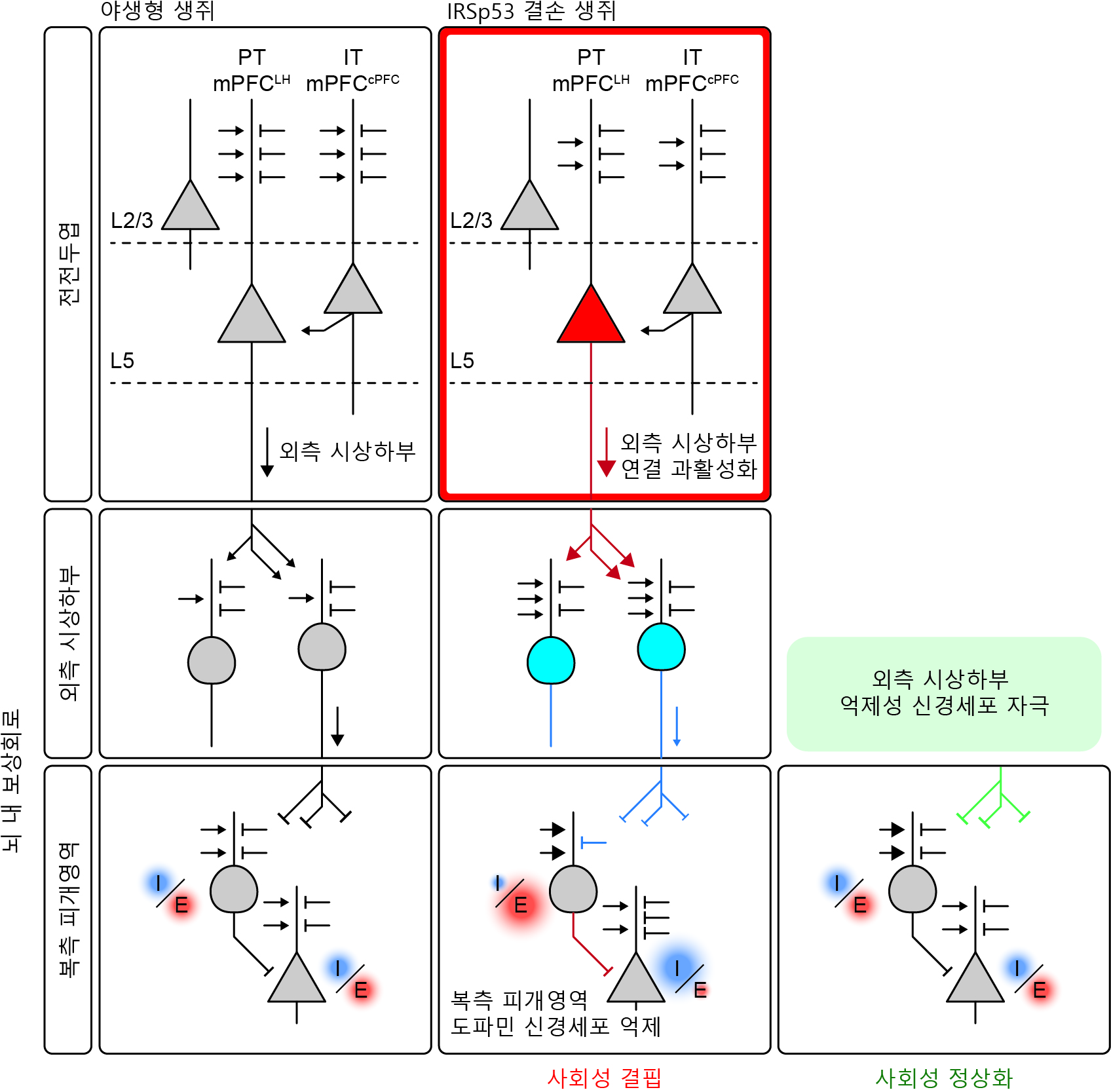 대뇌 전전두엽의 ‘시냅스 단백질 IRSp53’ 결손과 보상회로의 연관성