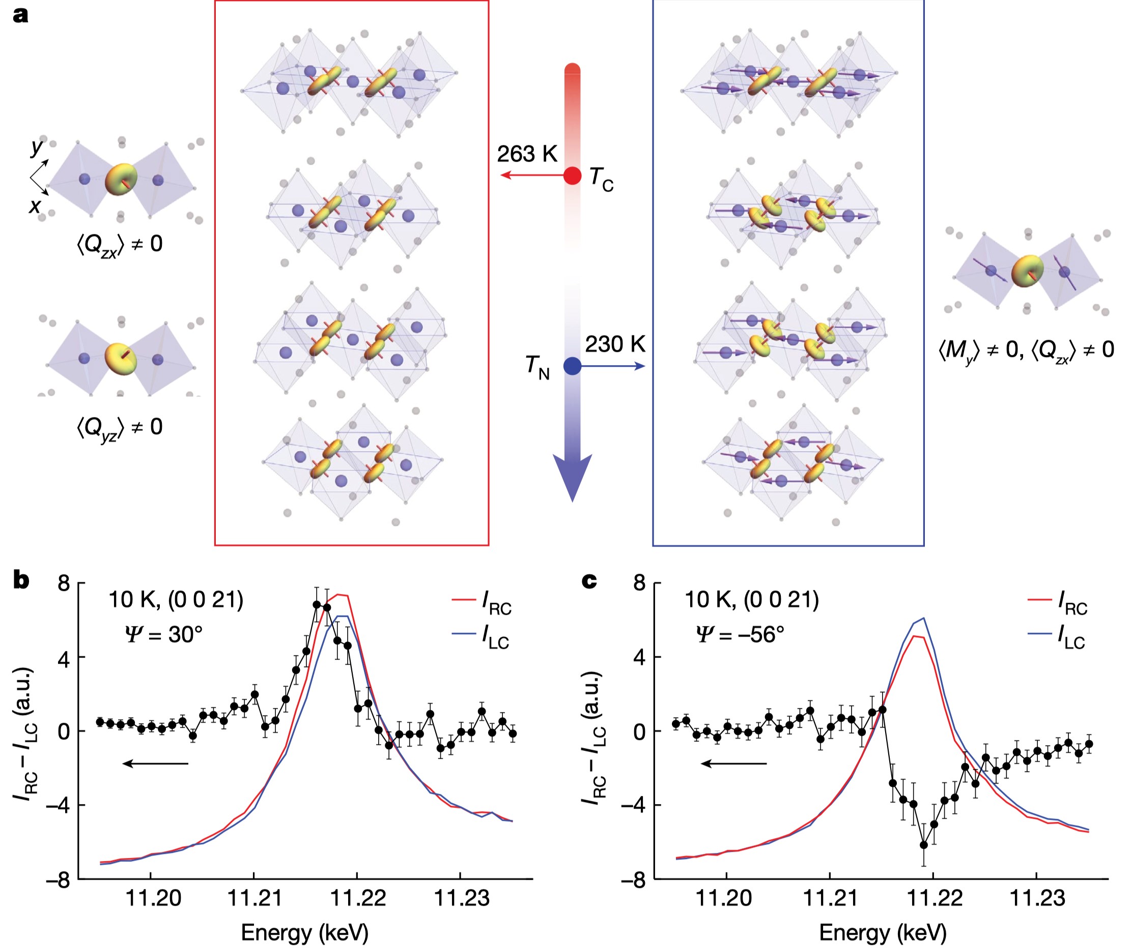 Figure 2. Dipole-quadrupole interference in circular dichroic resonant x-ray diffraction. (a) The spin quadrupole moments are formed at a higher temperature (263 K) than the magnetic moments (230 K). (b, c) At low temperatures, the interference between the spin quadrupole and the magnetic moments is manifested by circular dichroic resonant X-ray diffraction, a magnetic signal difference between left- and right-handed X-ray beams.
            