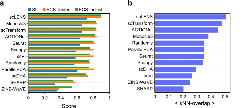 [그림 2] scLENS 성능
            a. scLENS는 11개의 다른 분석 도구들과 비교했을 때, 가장 높은 실루엣 스코어(파란색 막대)를 기록하였다. 이는 scLENS가 실제 세포 유형(true cell-type)을 가장 잘 반영하는 차원 축소 결과(임베딩)를 생성한다는 것을 의미한다. 더 나아가, 이 차원 축소 결과에 계층적 클러스터링(초록색 막대)과 그래프 기반 클러스터링(주황색 막대)을 적용하여 레이블을 얻었을 때, 실제 세포 유형과의 유사도가 다른 분석 도구들에 비해 가장 높게 나타났다.
            b. scLENS는 타 분석 도구들에 비해 원래 데이터로부터 얻은 k-최근접 이웃 구조와 가장 유사한 구조를 다운 샘플링된 데이터로부터 얻어낼 수 있음을 가장 높은 k-최근접 이웃 중첩 점수(kNN-overlap score)를 기록함으로써 입증했다.