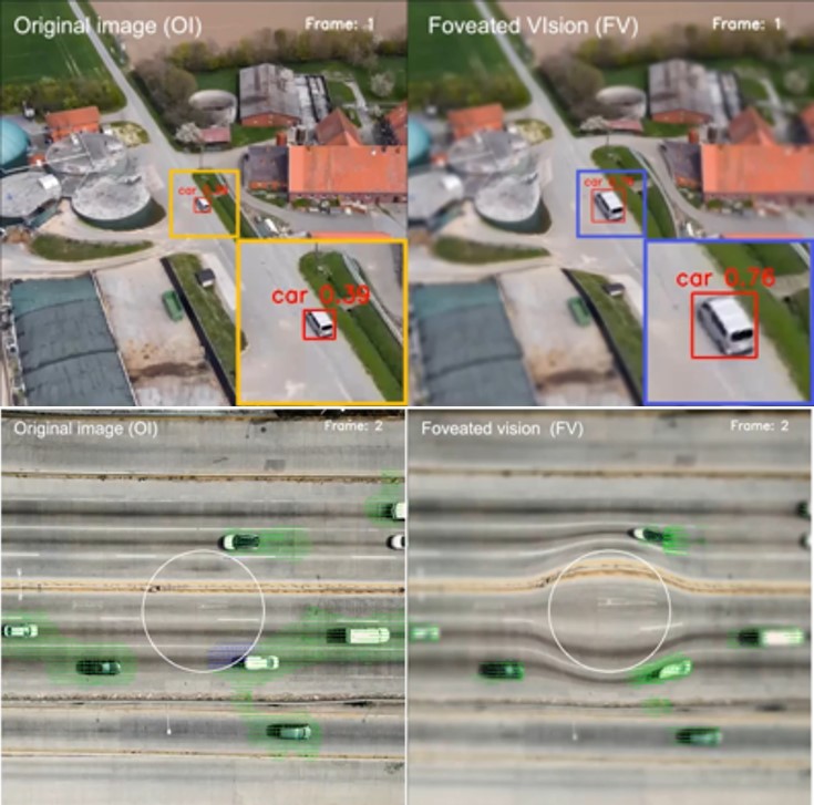 [그림 4] 기존 카메라 시스템과의 성능 비교
                    기존 카메라 시스템(왼쪽)에 비해 물체 감지 특화 카메라(오른쪽)는 중심와 시야 물체를 확대하여 물체 인식률이 우수하다(위). 또한, 중앙부와 주변부 영역의 시야 차이를 이용해 물체의 움직임 변화를 더 잘 포착한다(아래).
                    
