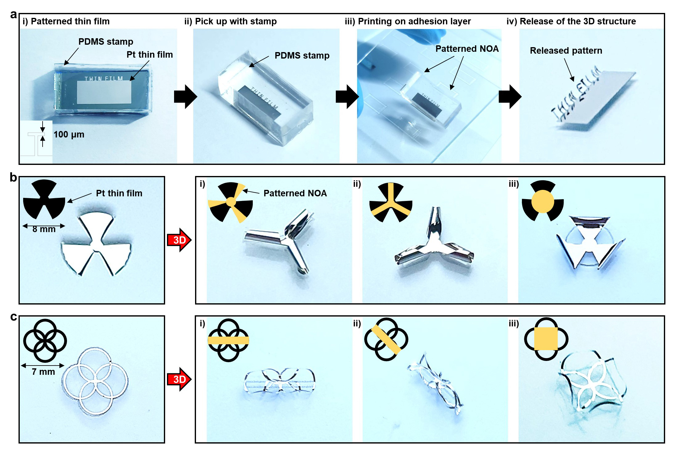 Figure 2. Transfer of the various 2D Pt thin films and their conversion into 3D architectures. a) Transfer process of the Pt thin film with the PDMS stamp. b, c) Transfer of the patterns composed of three blades (b) and four circles (c).
