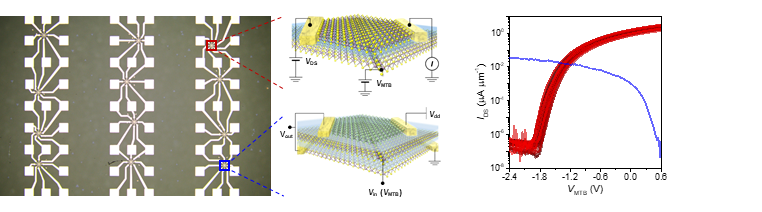Figure 2. Ultra-miniaturized transistors and integrated circuits using 1D mirror twin boundary gates
This figure shows an optical microscope image of the integrated circuit based on 1D mirror twin boundary gates (left), a schematic of the ultra-miniaturized transistor and inverter devices that constitute the circuit (center), and the performance evaluation of these devices (right). The 1D mirror twin boundary process developed by the research team was not limited to the miniaturization of individual devices but was successfully used to construct large-area, highly integrated electronic circuits.

