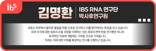 [그림 1] mRNA 백신의 세포 조절 경로를 탐구하기 위한 CRISPR 녹아웃 스크리닝
        19,114개의 인간 유전자를 표적하는 녹아웃 라이브러리.