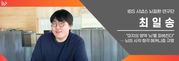 IBS 시냅스 뇌질환 연구단 최일송