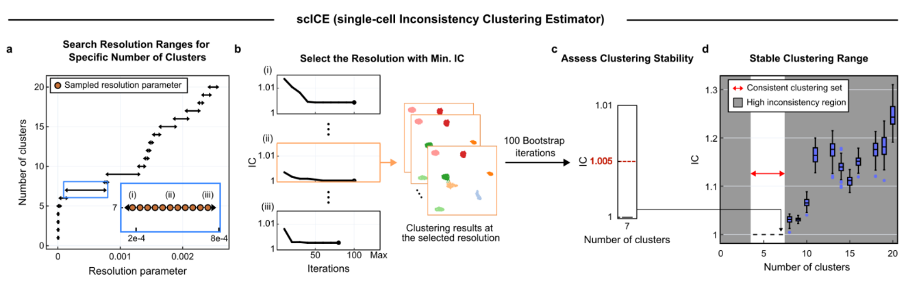 Figure 2. Overview of the scICE method.
(a) scICE begins by selecting a range of “resolution” values that produce a specific target number of clusters. These resolutions are then tested to find the most stable one.
(b) To measure stability, scICE calculates the Inconsistency Coefficient (IC) for each resolution setting — with an IC of 1.0 representing perfect stability, and higher values indicating greater inconsistency. The resolution with the lowest IC is selected as the most stable for that cluster number.
(c) The selected result is further validated by repeating the clustering multiple times to confirm that its IC remains low and stable across tests.
(d) scICE identifies a “consistent clustering set”: only cluster numbers that consistently show low IC values are accepted as reliable, while unstable results are excluded. This ensures that only the most trustworthy cluster groupings are reported.