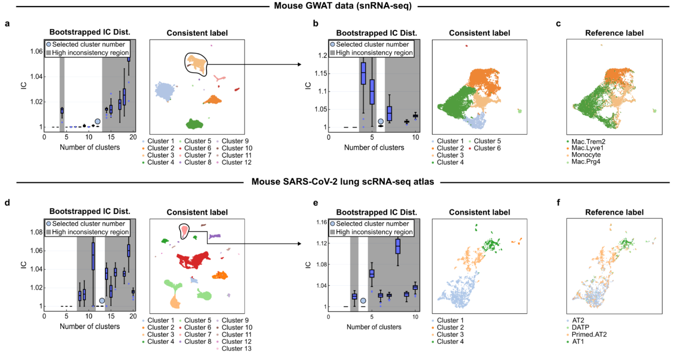 Figure 3. Using scICE, the researchers detected rare macrophage subtypes in mouse GWAT data (top) and resolved critical pneumocyte populations in SARS-CoV-2-infected mouse lung data (bottom).