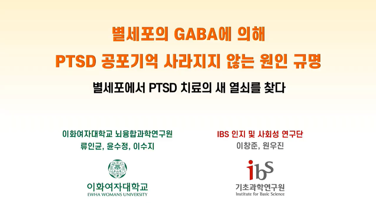 ▲ 유튜브 보러가기